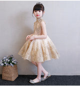 Elegant Golden Tulle Flower Girl Dress Party Kids Pageant Gown Princess Wedding Dress Sleeveless First Communion Dresses 1-14T