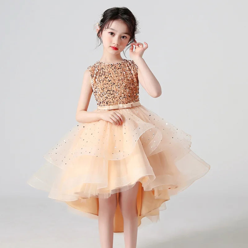 Christmas Carnival Ball Fluffy Birthday Party Dresses for Girls New Girl Embroidery Sequins 3-12 Year Old Girl Princess Dress