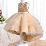 Christmas Carnival Ball Fluffy Birthday Party Dresses for Girls New Girl Embroidery Sequins 3-12 Year Old Girl Princess Dress