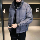 Men's Korean Style Stand Collar Casual Down Jacket