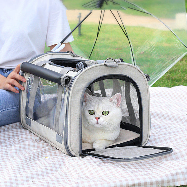 Transparent Foldable Pet Carrier