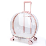 Portable Transparent Trolley Case Cat Bag