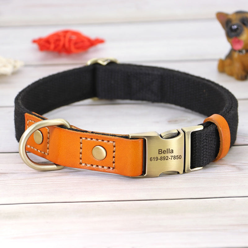 Nylon Custom Dog Puppy Collar Leash