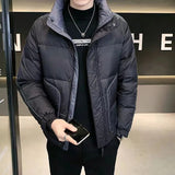 Men's Korean Style Stand Collar Casual Down Jacket