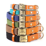 Nylon Custom Dog Puppy Collar Leash