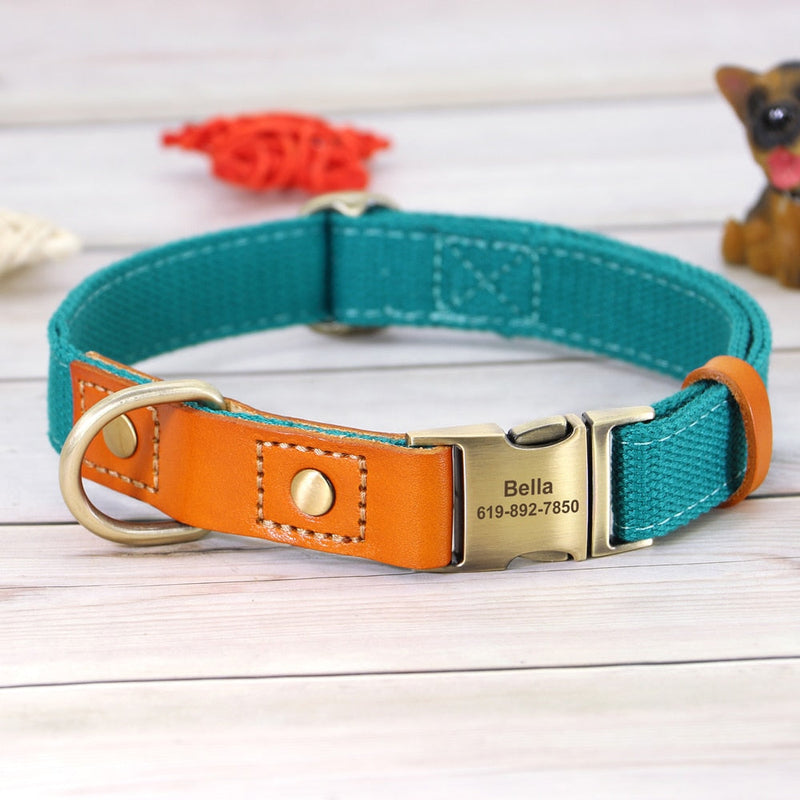 Nylon Custom Dog Puppy Collar Leash