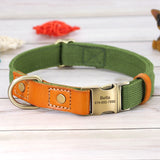 Nylon Custom Dog Puppy Collar Leash