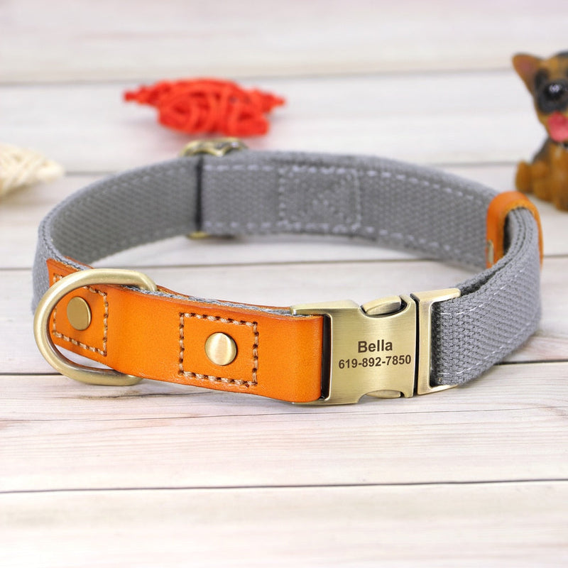 Nylon Custom Dog Puppy Collar Leash