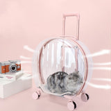 Portable Transparent Trolley Case Cat Bag