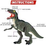 Remote Control RC Walking Dinosaur Toy With Shaking Head, Light Up Eyes & Sounds