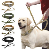 Roam-Ready Tactical Dog Collar