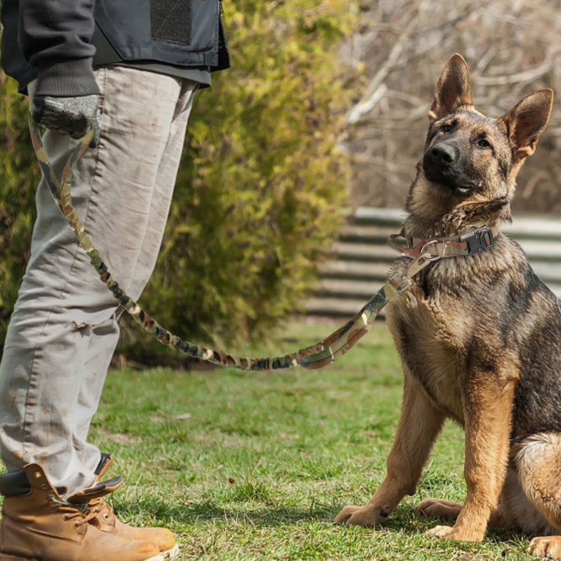 Roam-Ready Tactical Dog Collar