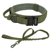 Roam-Ready Tactical Dog Collar