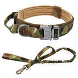 Roam-Ready Tactical Dog Collar