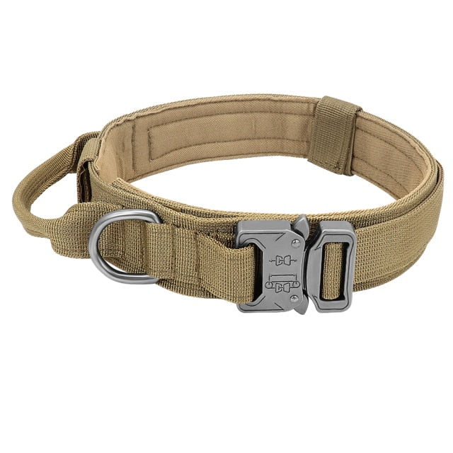 Roam-Ready Tactical Dog Collar