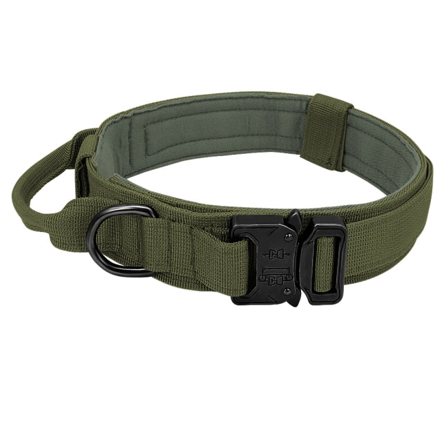 Roam-Ready Tactical Dog Collar