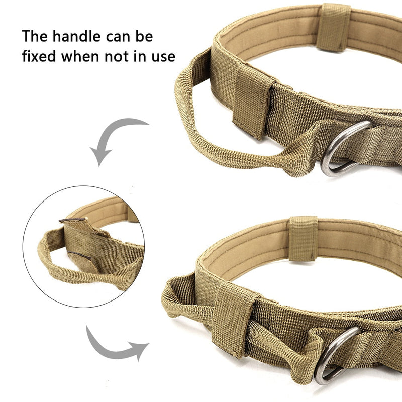 Roam-Ready Tactical Dog Collar